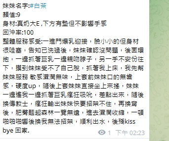 白茶11