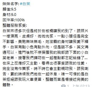 白茶15