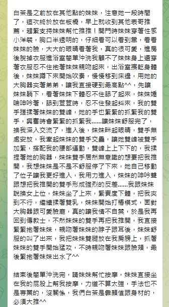 白茶17