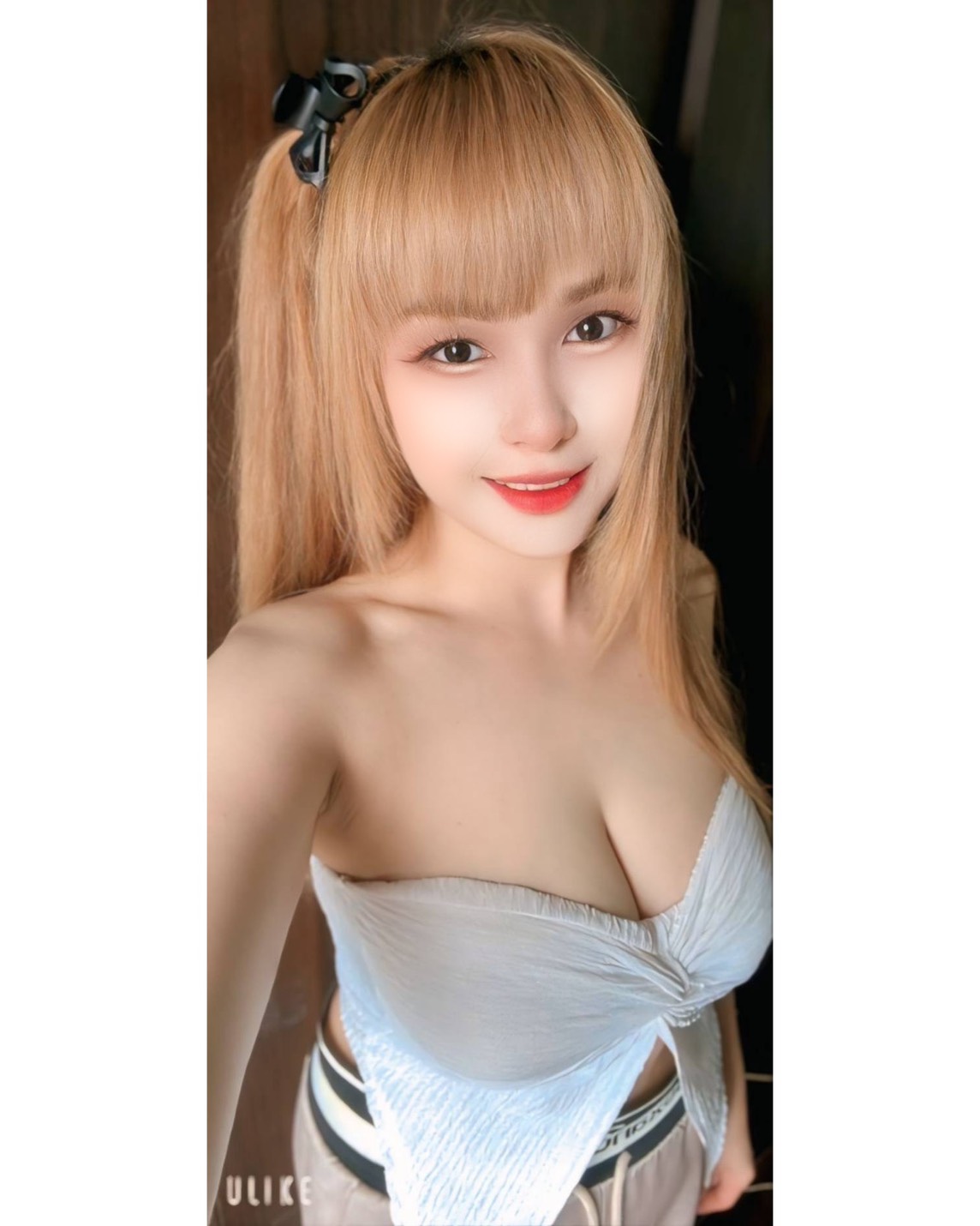 禮盒