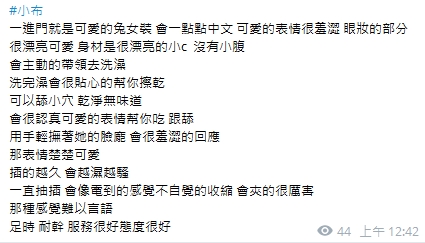 小布18