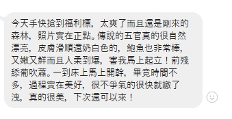 森林10