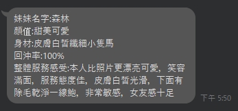森林12