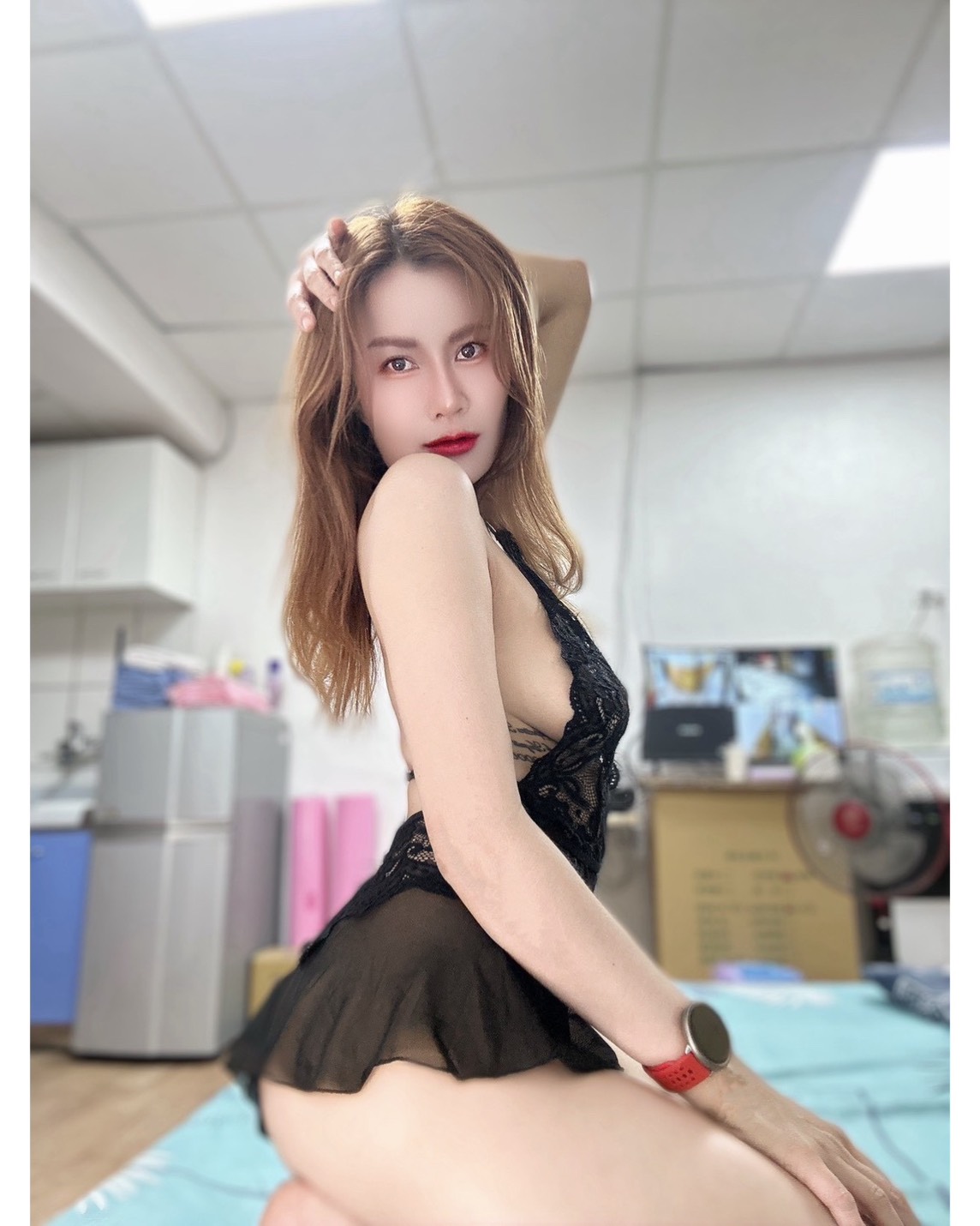 茉樹